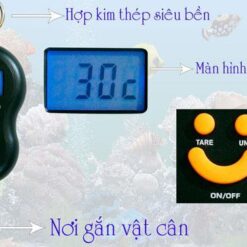 Can-treo-jmh-jadever_1374689951.jpg